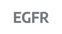 EGFR-Mutation-Analysis
